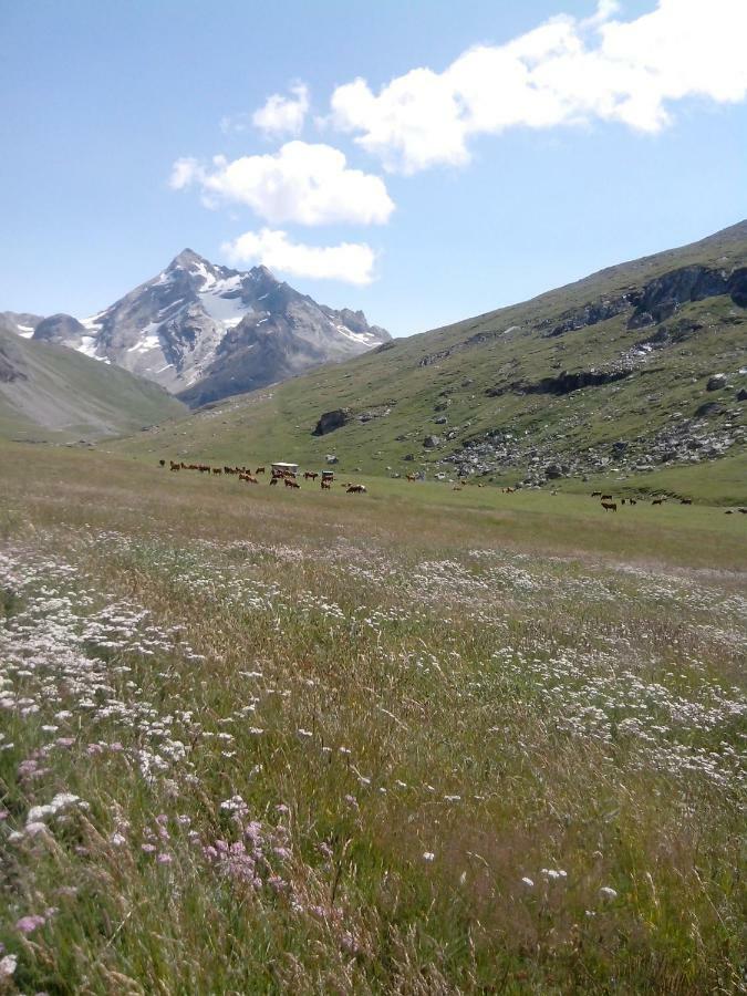 Chalet Spacieux *